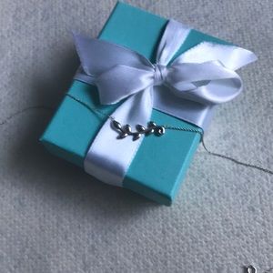 Tiffany & Co. Necklace w/ original box